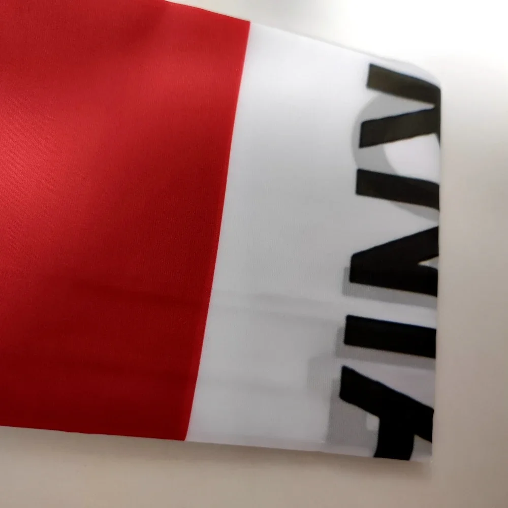 Nueva bandera de la República  - Fallout Cosplay Prop reseña y precio
